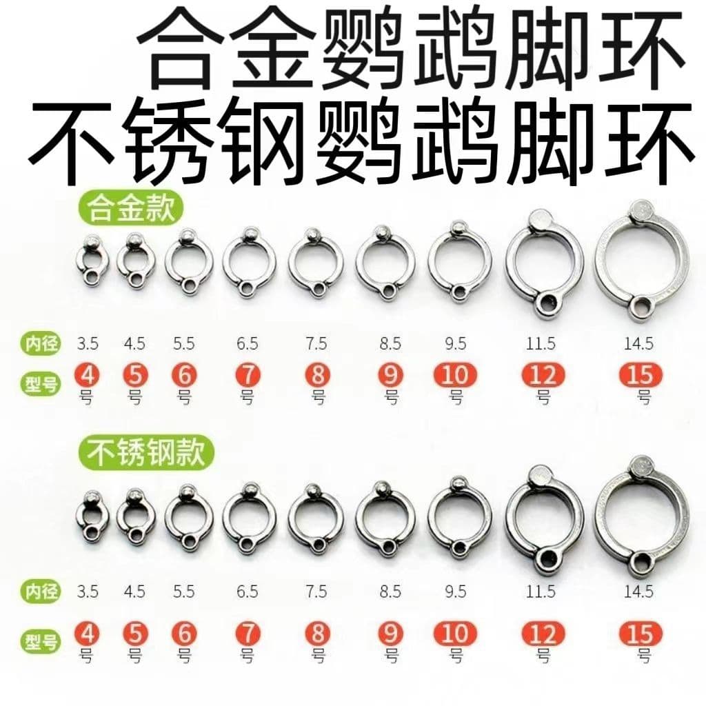 Cockatiel Leg Band Open Adjustable Leg Ring Grey Parrot Stainless Steel Anklet Bird Leg Band Perch Stand Accessories Wholesale