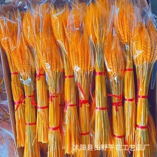 Barley Dried Flowers Opening Celebration Natural Wheat Stalks Dried Flower Decoration Photography Props Rustic Decor Real Wheat Wholesale
