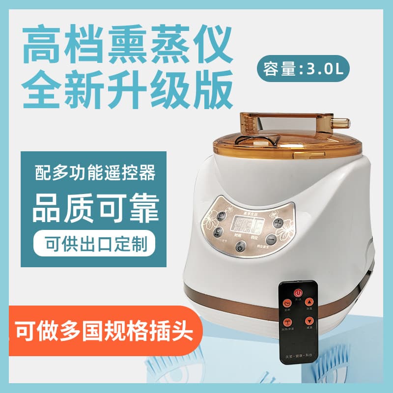 Direct Supply 3.0L Home Steam Sauna Machine for Foot Bath, Health, Beauty, and Sweating Therapy