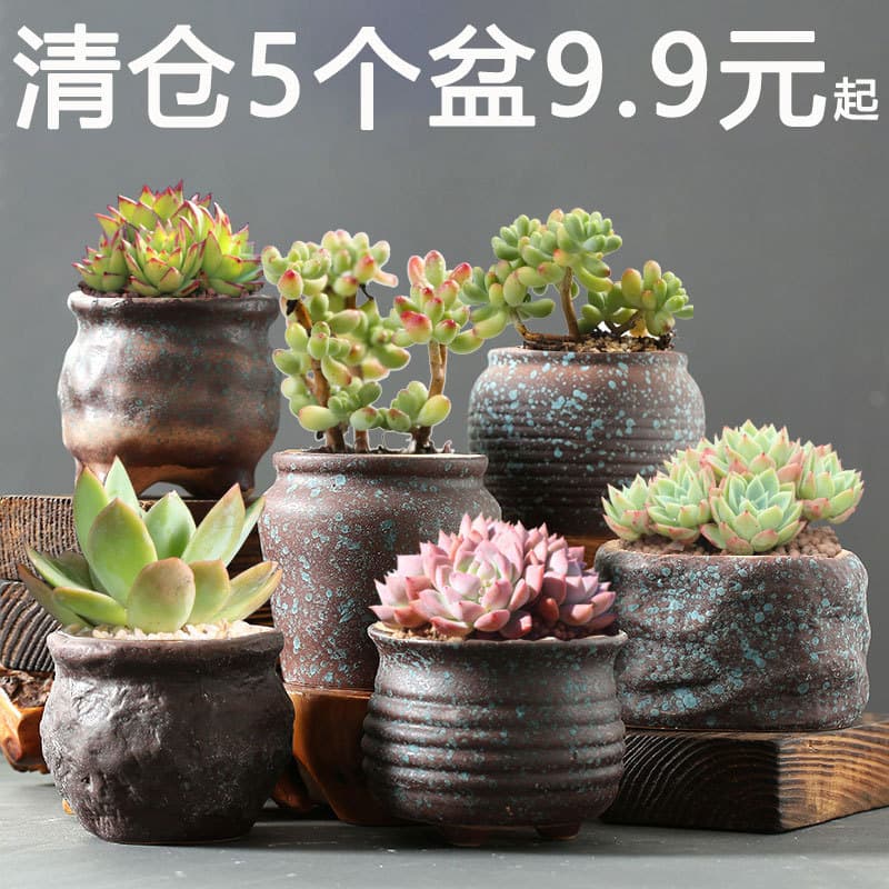 Succulent Flower Pot Home Use Large and Small Terracotta Pots Coarse Pottery Creative Root Control Flower Dish Ceramic Flower Pot Special Price Clearance Wholesale