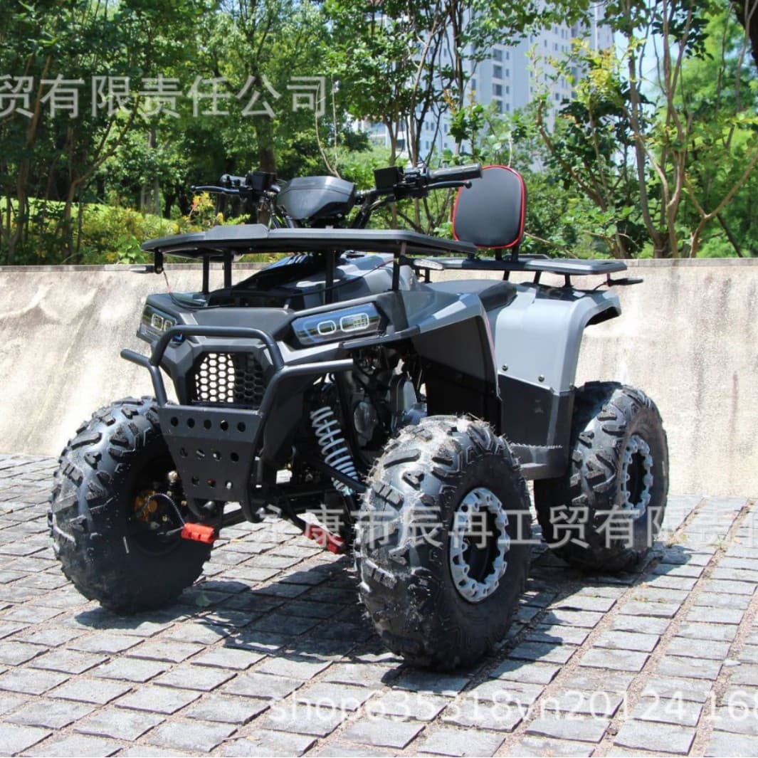 125cc Sand Cart 4x2 Little Sirius Outdoor Off-Road Vehicle ATV UTV 4x2 Outdoor Adult All-Terrain Mountain Bike