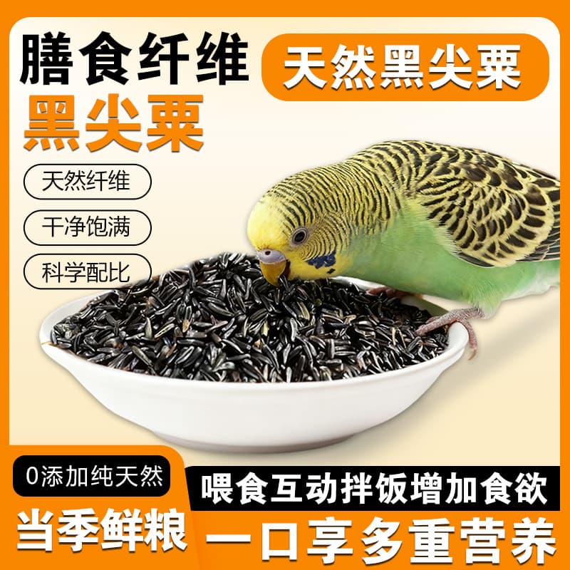 Black-tip millet parrot bird food feed Niger grass seed extraordinary Seer jade bird hibiscus breeding canary imported catty