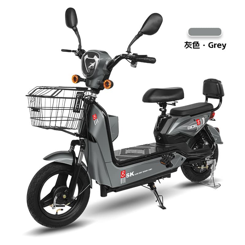 Cross-border Source Factory Cross-border Golden Eagle Two-wheel Electric Bicycle Adult Convenient Electric Bike New Style