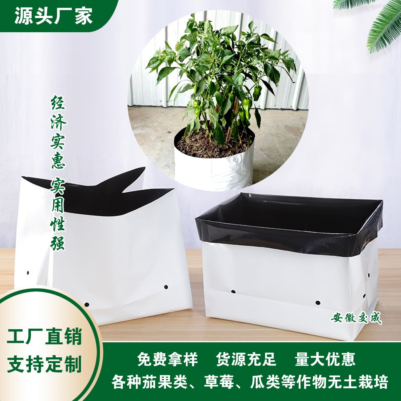 Source factory black and white film planting bag agricultural PE seedling bag thickened anti-aging matrix bag
