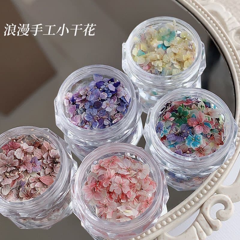 Nail Art Dried Flower Materials Mixed Monet's Garden Exquisite Five-Petal Flower Materials Flower Decor Small Floral Nail Ornaments