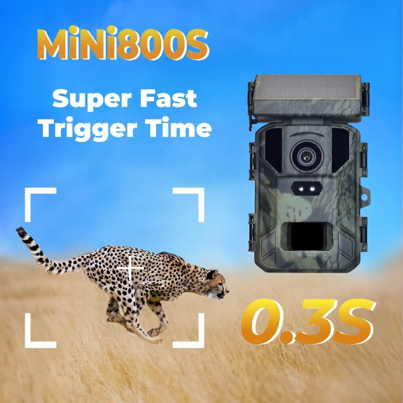 Outdoor solar panel hunting camera HD rainproof and fogproof infrared tracking mini camera