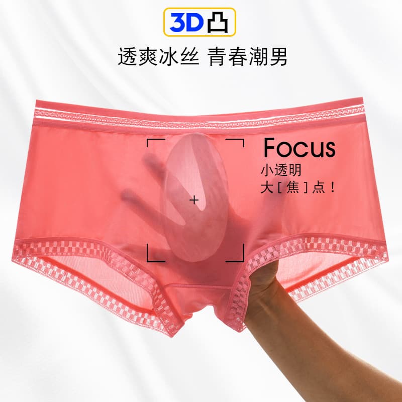 3D Lace Men's Summer New Style Semi-Transparent Ice Silk Boxer Shorts One-Piece Sexy Youth Men's Underwear