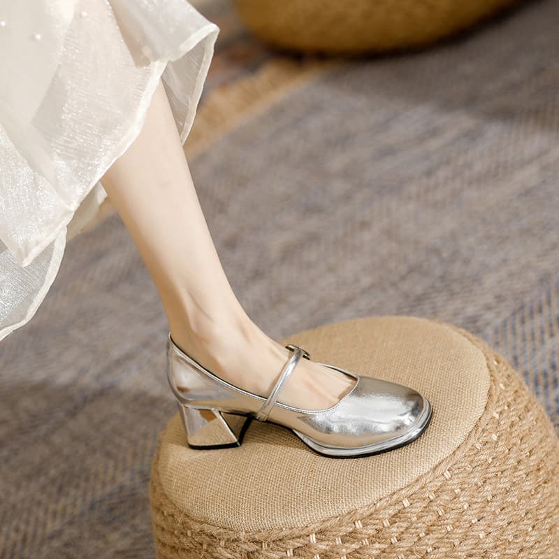 Mid Heel Mary Jane Shoes 2024 Spring New French Princess Silver Chunky Heel Platform Single-Layer Shoes Women's Small Silver Shoes