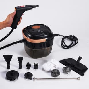 High Temperature Steam Cleaner High Pressure Steam Cleaning Machine Steam Cleaner Remote Adjustment In Stock US Plug EU Plug