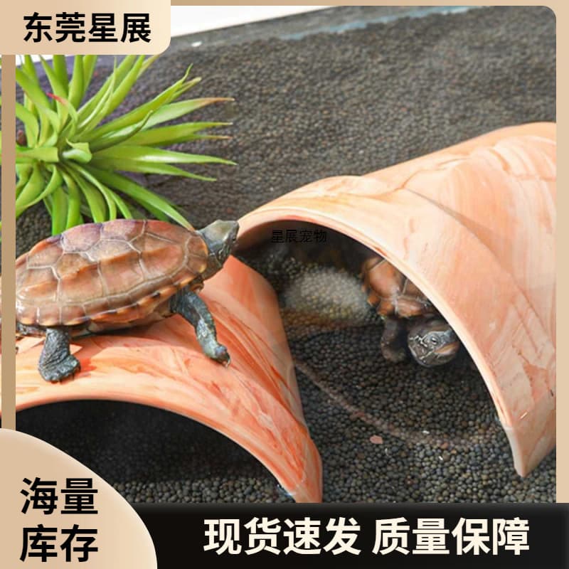 Turtle Hideout, Yellow-Marginated Box Turtle Cave, Red Clay Tile, Grass Turtle Basking Platform, Axolotl, Reptile, Fish, Turtle Tank Landscaping