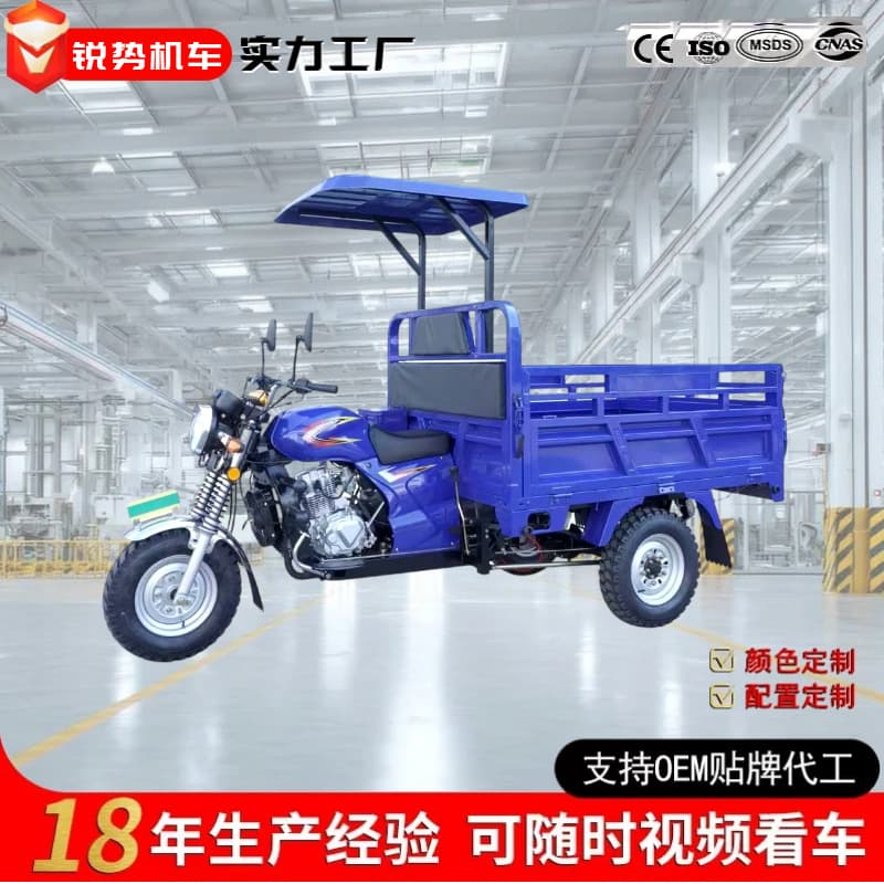 Africa Hot Selling Three-Wheeled Fuel Motorcycle Cargo Agricultural Dump Truck Gasoline Motorcycle Heavy-Duty Cross-Border