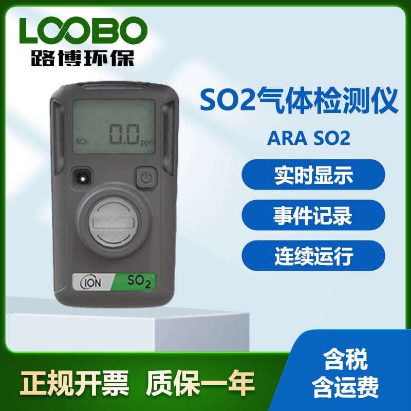 UK Ion ARASO2 Single Gas Detector with Instant Alarm Function for Sulfur Dioxide Detection