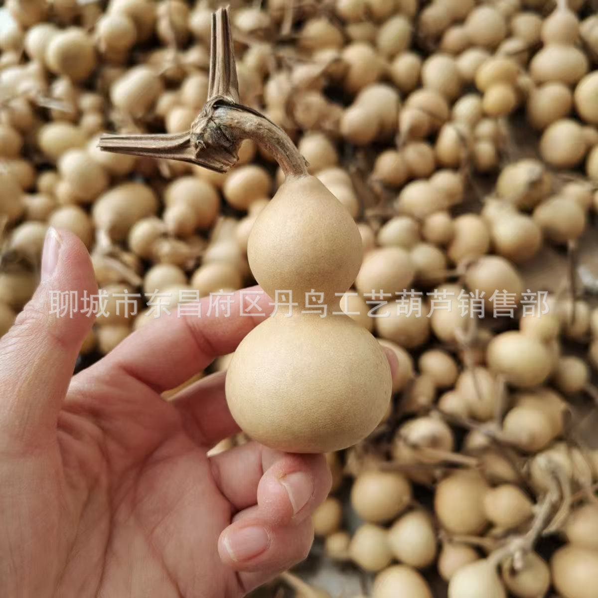 Factory direct sales of hand-twisted miniature gourds, natural hand-twisted American gourd pendants, ornaments, and handicrafts wholesale.