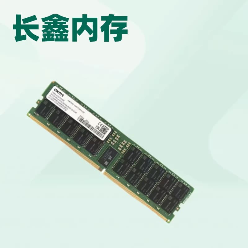 CXMT Server Memory DDR5 RECC 5600MHz 64GB for Domestic Xinchuang Servers