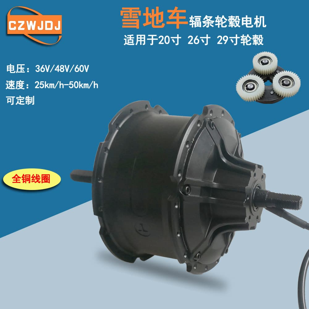 20-inch Spoke Snow Bike Angled Outlet 800W Reduction Gear Hub Motor Disc Brake Motor Mountain Bike Motor