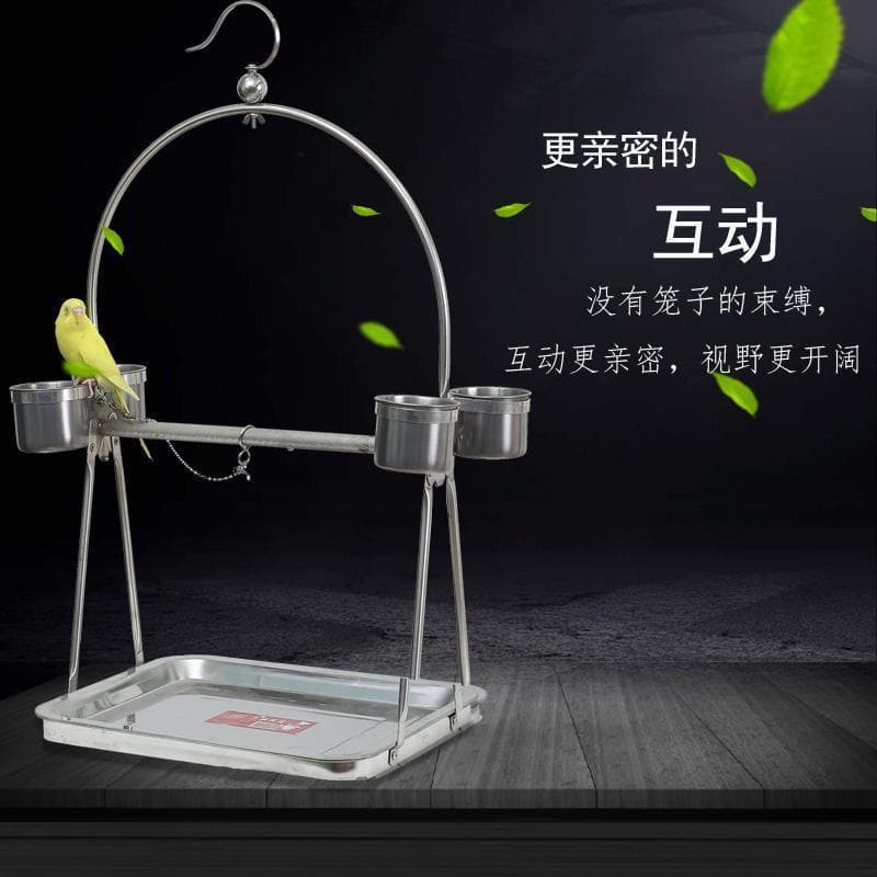 Stainless Steel Bird Cage [Free Leg Chain] Bird Stand for Parrot, Myna, Shrike, Sun Conure Stand