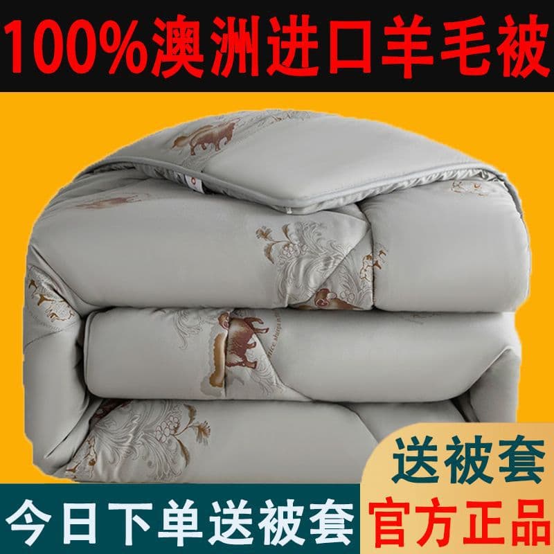 Authentic Wool Quilt, Pure Wool Quilt, Winter Quilt, Extra Thick Warm Spring/Autumn Quilt, Single/Double Student Cotton Duvet Insert
