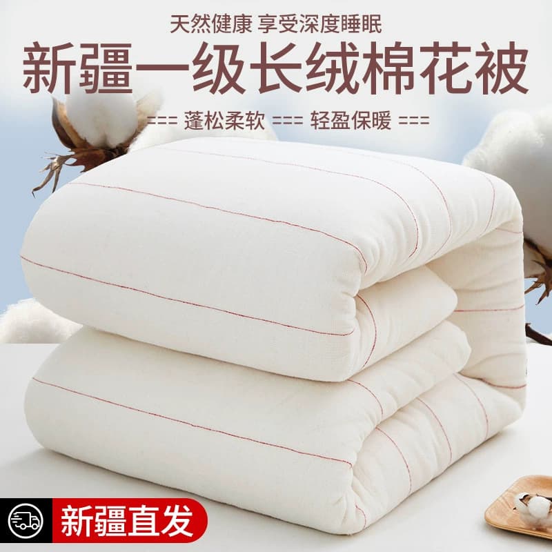 Xinjiang Top Grade Cotton Quilt, Cotton Batting Mattress, Student Quilt Padding, Thickened Winter Quilt, Quilt Core Manufacturer