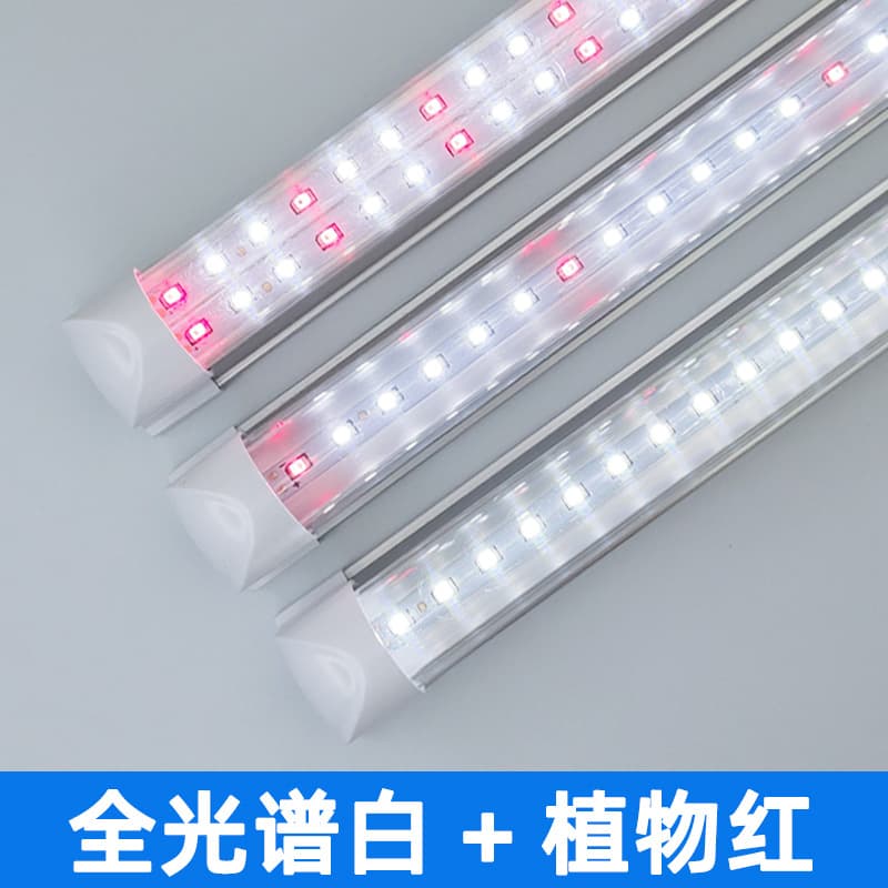 Indoor Hydroponic Vegetable Strawberry Seedling Tissue Culture Plant Grow Light Greenhouse T8 Full Spectrum Plant Supplement Light