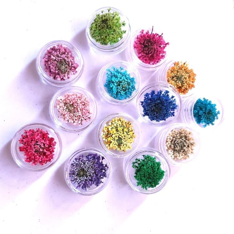 Japanese-style dried flower petals, lace flowers, DIY accessories for resin crafts, phone cases, and nail art decorations