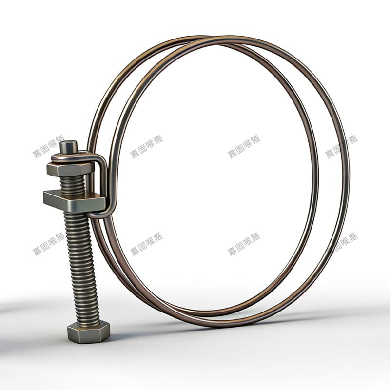 Double Wire Hose Clamp 304 Stainless Steel Pipe Clamp Tianjin Water Pipe Fixing Clamp Reinforced Band Clamp