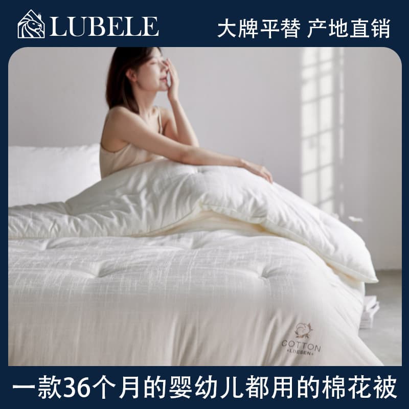 High-End Class A Mother-Infant Grade Single Summer Quilt Core All-Cotton Spring/Autumn Quilt Pure Cotton Quilt Winter Antibacterial Anti-Mite Quilt Core Bedding