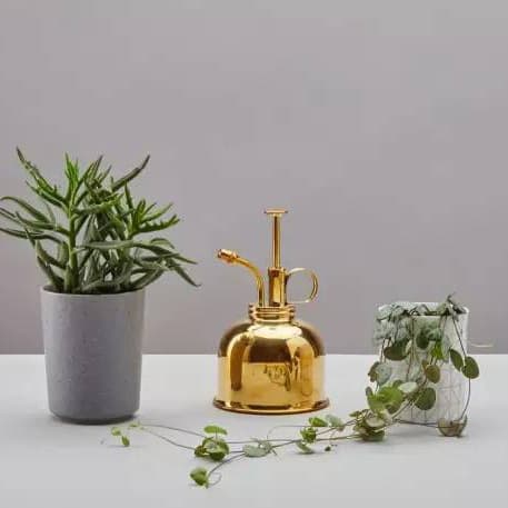 Factory Direct European American Nordic Retro Brass Home Watering Can for Succulents Small Gold Gardening Household Spray Watering Can