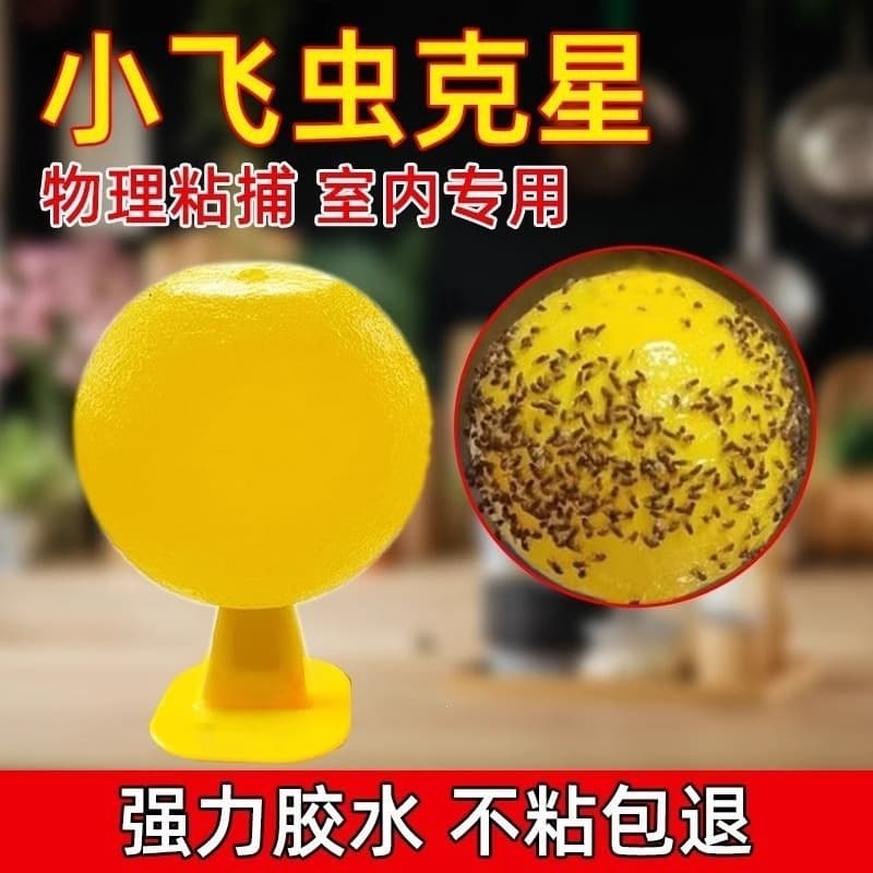 Indoor Fruit Fly Trap Mosquito Killer Sticky Ball for Gnats Kitchen Pest Control