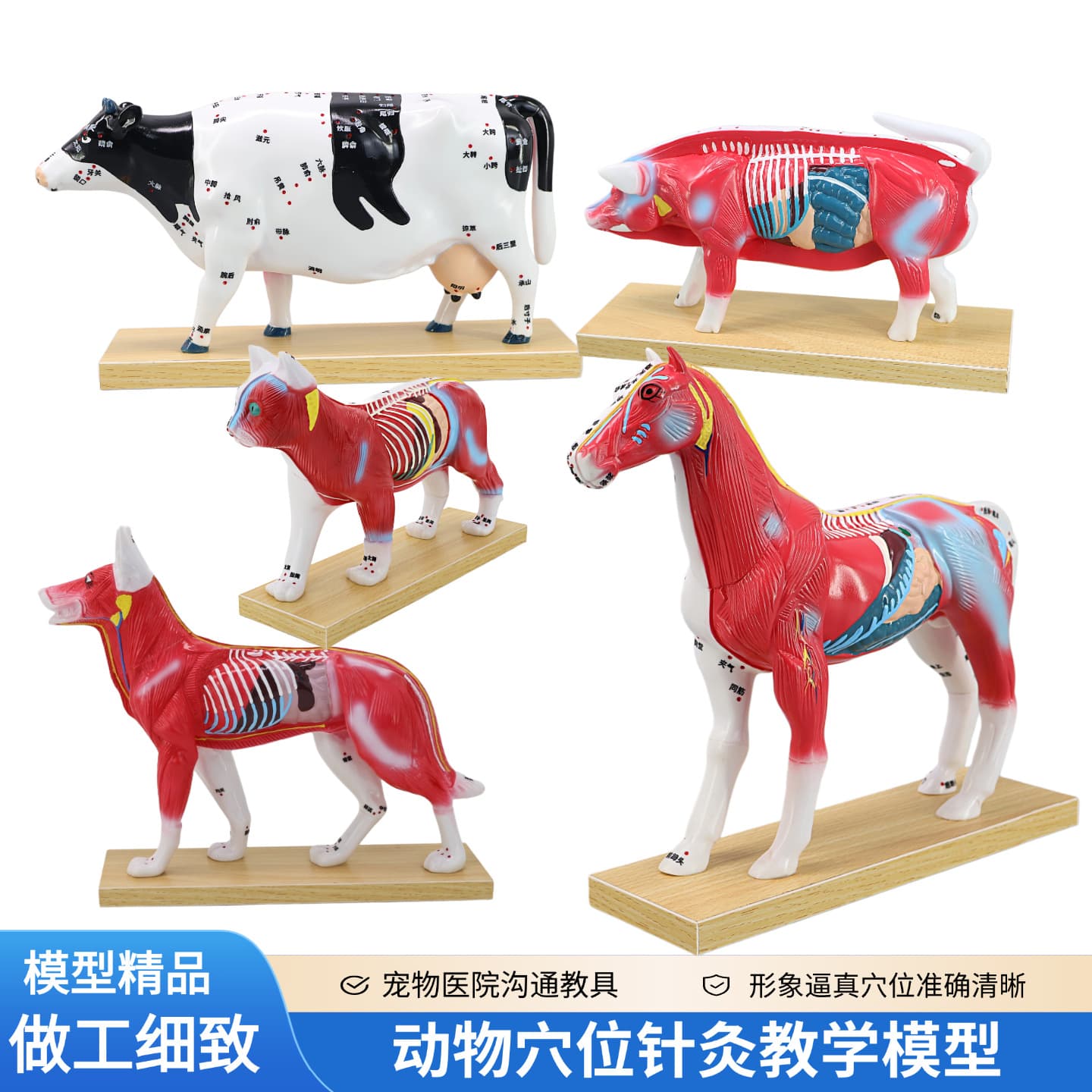 Dog, cat, pig, cow and horse body acupuncture model, dog acupoints, animal acupuncture, veterinary teaching animal anatomy model