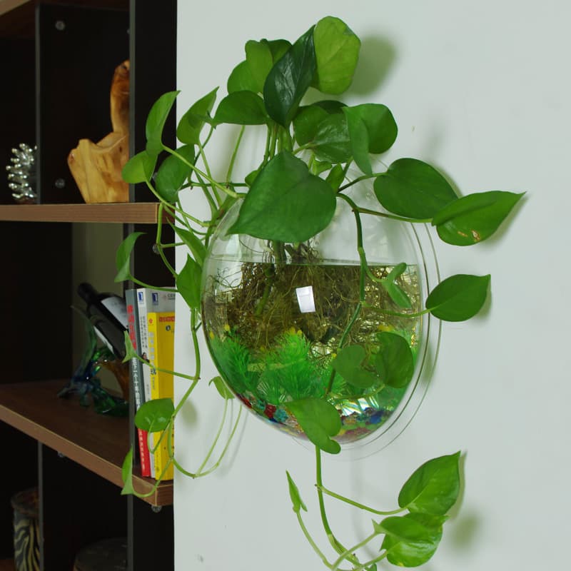 Wall-mounted Hydroponic Fish Tank Creative Decoration for Living Room, Bedroom, Wall