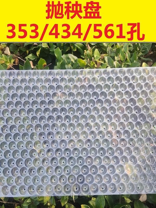 Thickened Hand-Thrown Rice Seedling Tray, Artificial Rice Throwing Seedling Tray for Late Rice, No-Peel Plastic Transparent 434 Holes 353 Holes