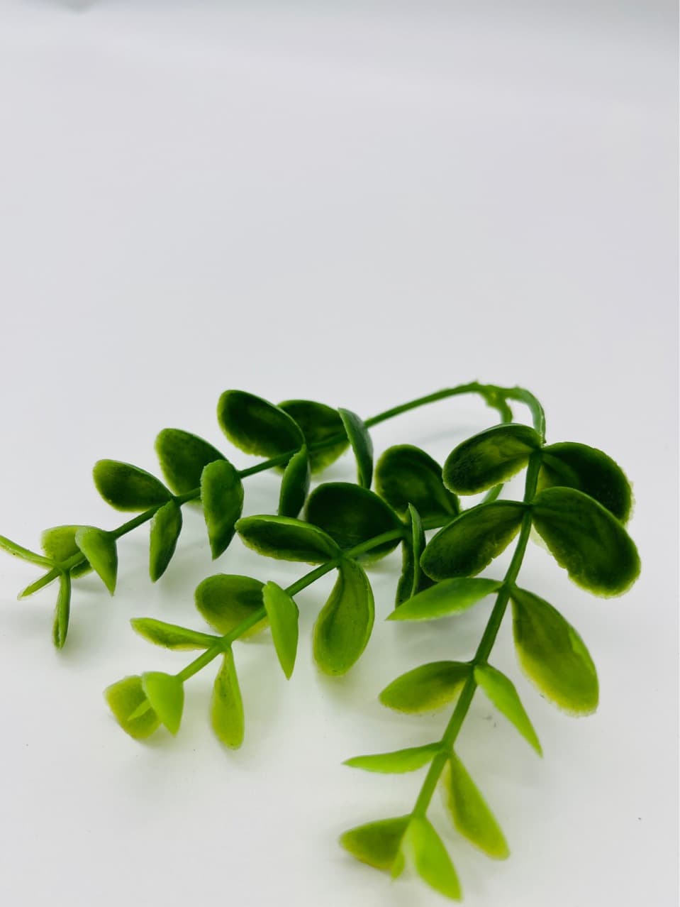 Plastic money leaves, fake flowers and green plants, lifelike props, green leaves, wall decoration, outdoor photography, plastic flowers
