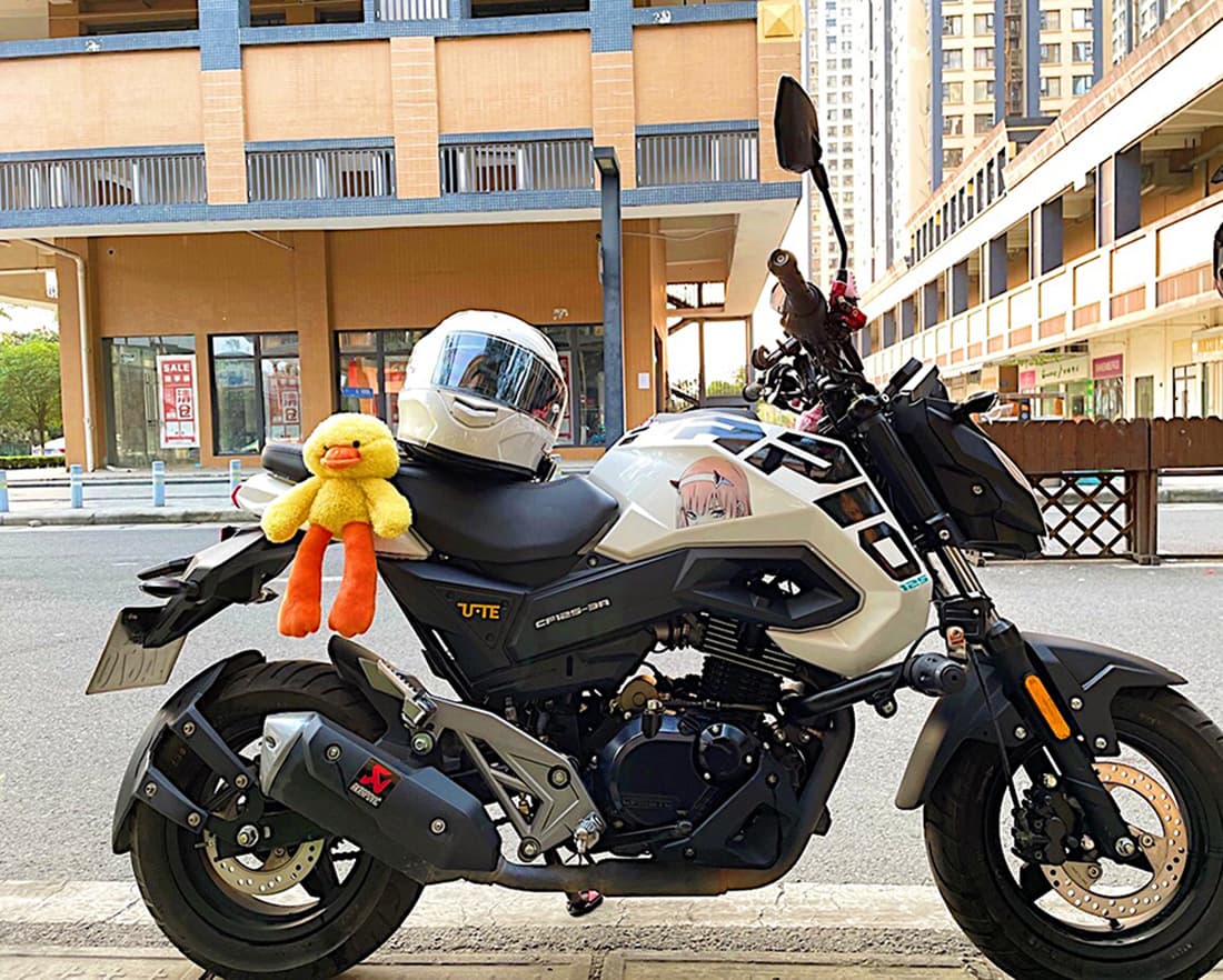 Motorcycle Decoration Bear Plush Toy for Adventure Bikes, Cars, and Electric Scooters, Detachable Side Box and Tail Box Hanging Ornament, Xiaohongshu Style