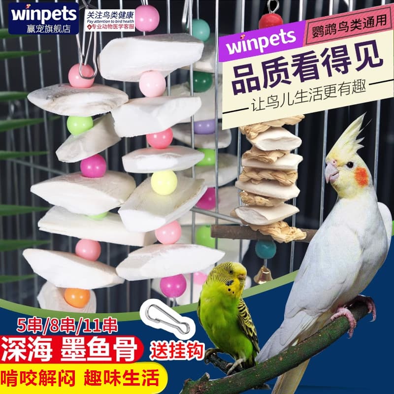 Parrot Bird Boredom Relief Beak and Jaw Grinding Cockatiel Budgerigar Lovebird Supplies Tools Bird Food Hanging String Chewing Toy Cuttlebone