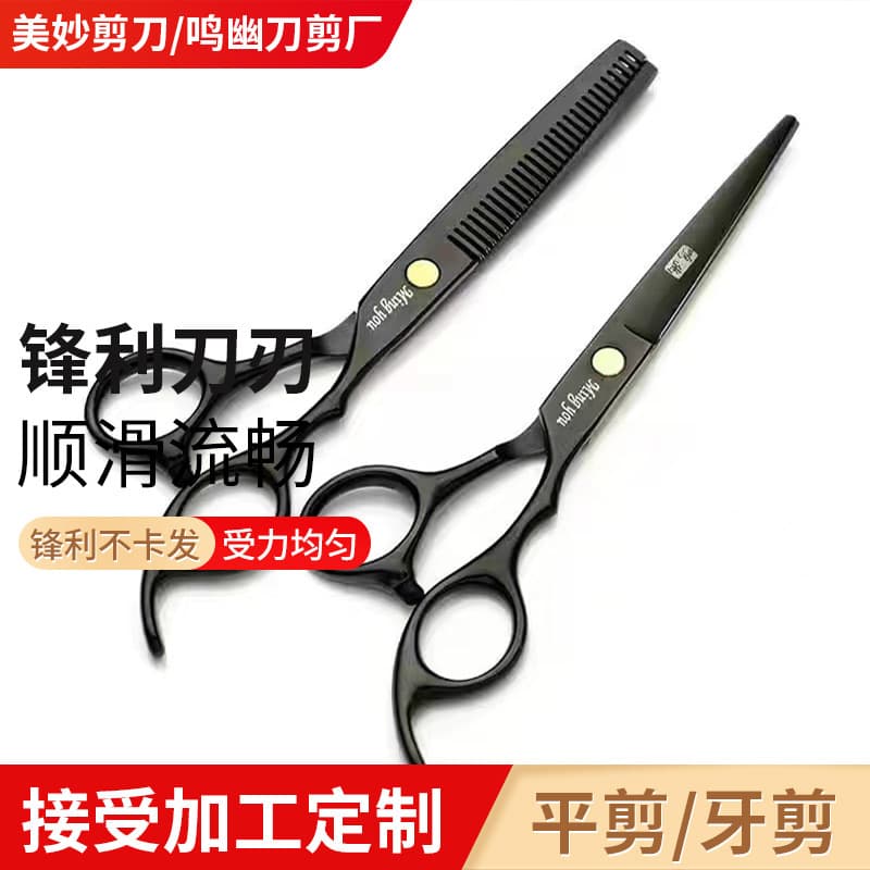 6-inch Black Professional Hair Scissors Set - Straight Shears, Thinning Shears, Hairdressing Tools