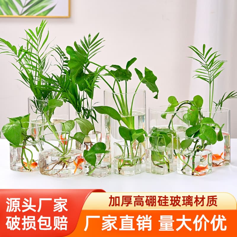 High borosilicate ecological glass vase green radish small fish tank flower arrangement hydroponic landscape flower pot vase glass ornaments