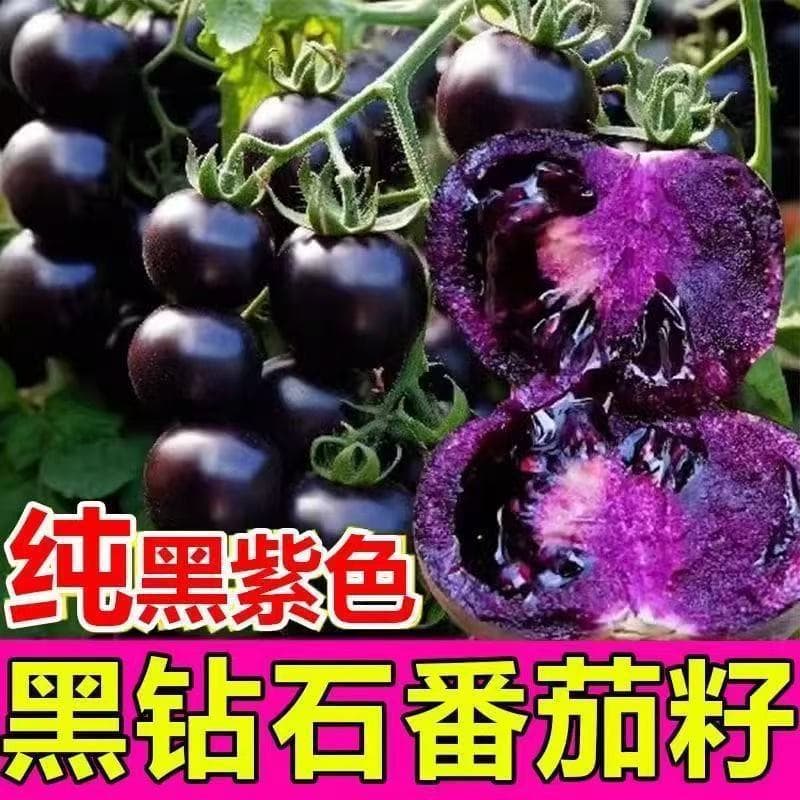 Cross-border Purple Cherry Tomato Seeds, Red Cherry Tomato Seeds, Cherry Tomato Seeds, Small Tomatoes, Vegetables
