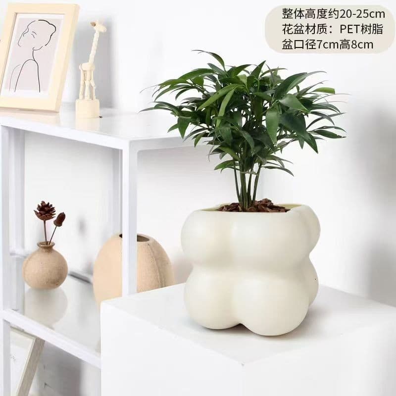 Nordic Green Plant in Cloud Pot, Office Living Room Desktop Decoration, Simple Creative Trendy Flower Plant