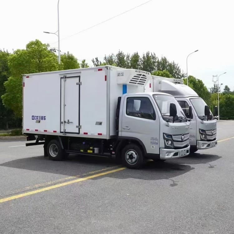 Cross-border Foton Oumark X-Card Refrigerated Truck Frozen Food Transport Truck Vegetable Seafood Insulated Cold Chain Transport Truck