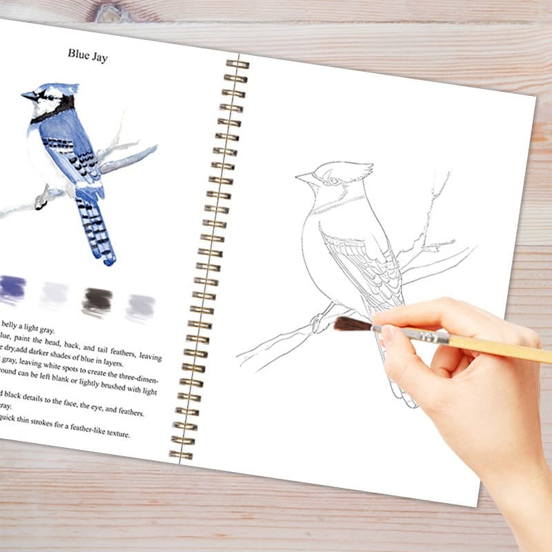 New Cross-border Watercolor Workbook Bird Coloring Book Practice Pad in Stock
