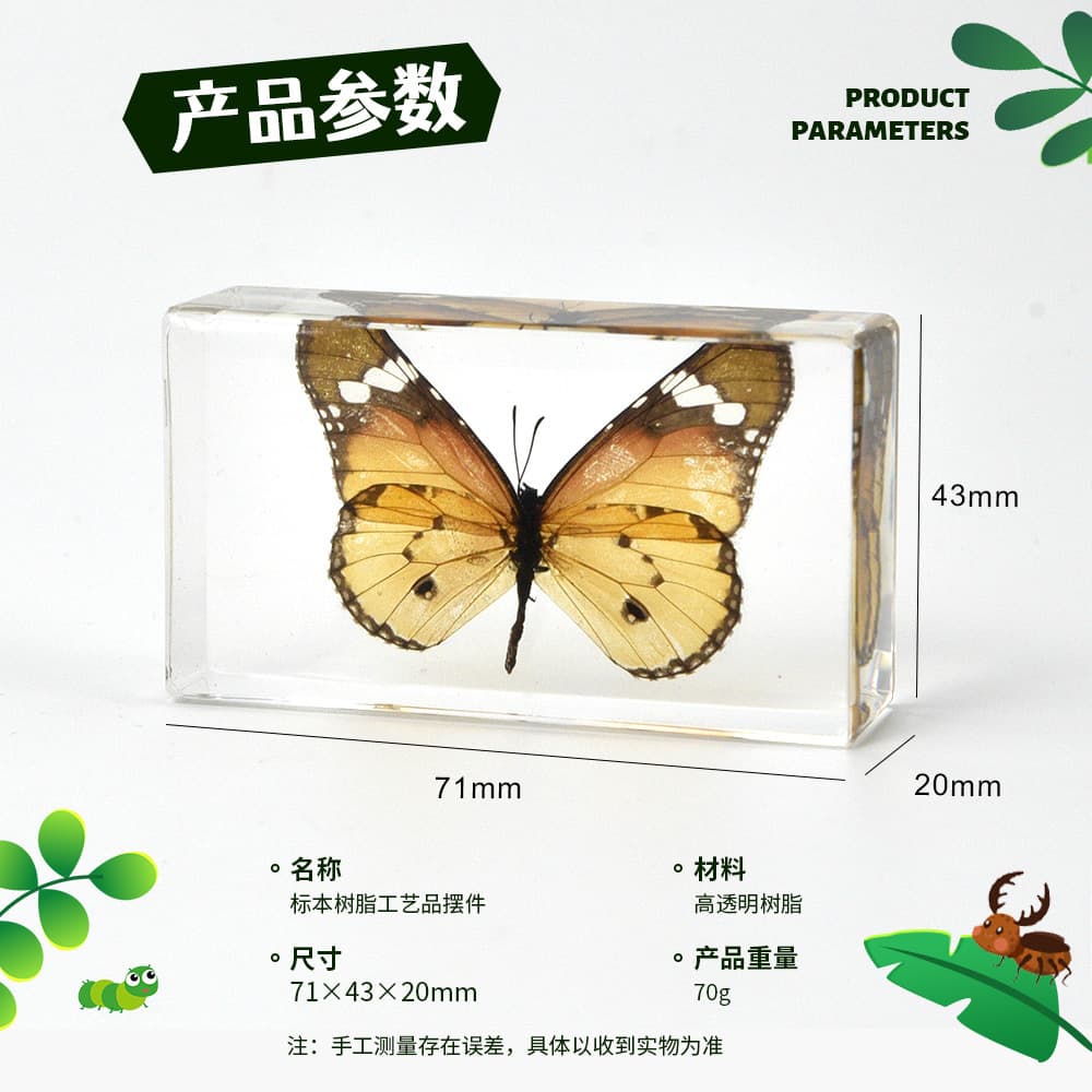 #4 Medium Bookweight Insect Marine Butterfly Specimen Amber Ornament Insect Museum Hot Sale Science Exhibition Research Gift
