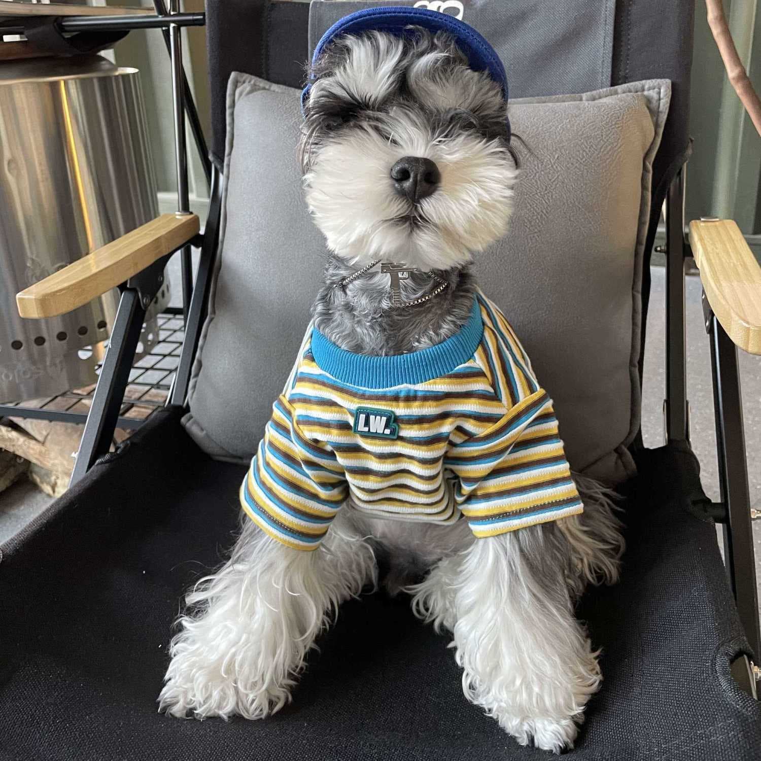 Trendy Spring Summer Autumn Thin Dog Clothes French Bulldog Schnauzer Bichon Frise Teddy Shiba Inu Cat Trendy Pet Clothing