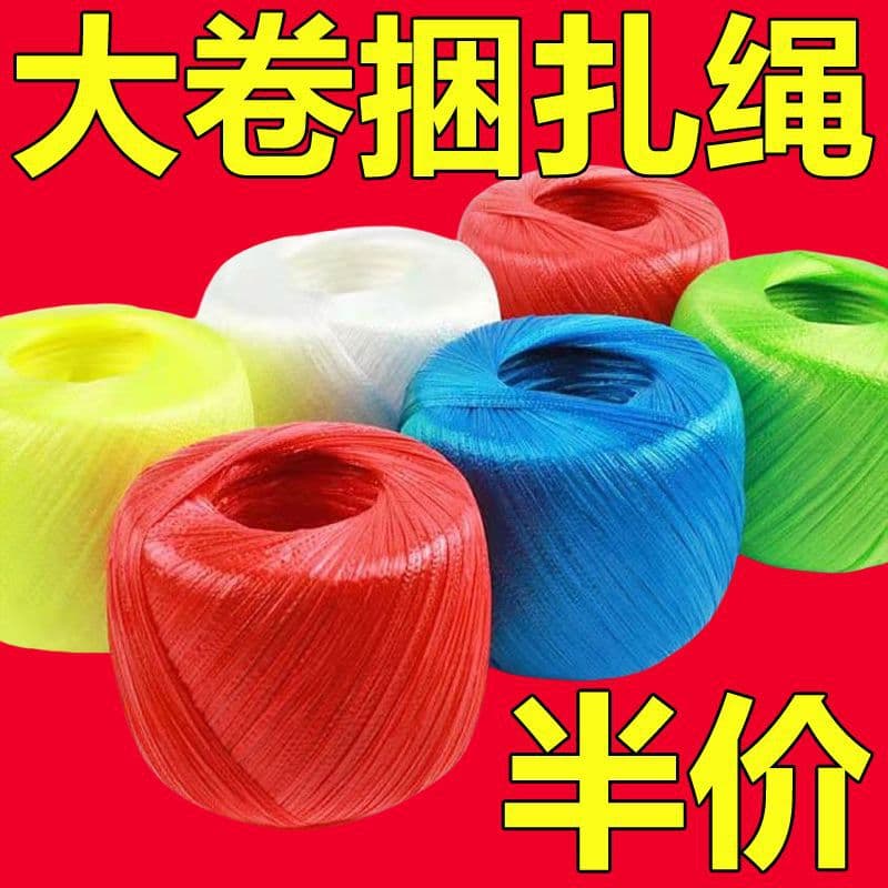New Material Plastic Tying Rope Small Coil Nylon Tying Rope for Binding Items