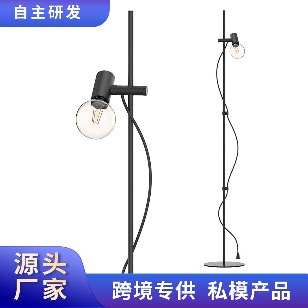 Cross-border LED Floor Lamp, High-end Living Room Bedside Light, Original Designer Floor Lamp with Patent, INS Style