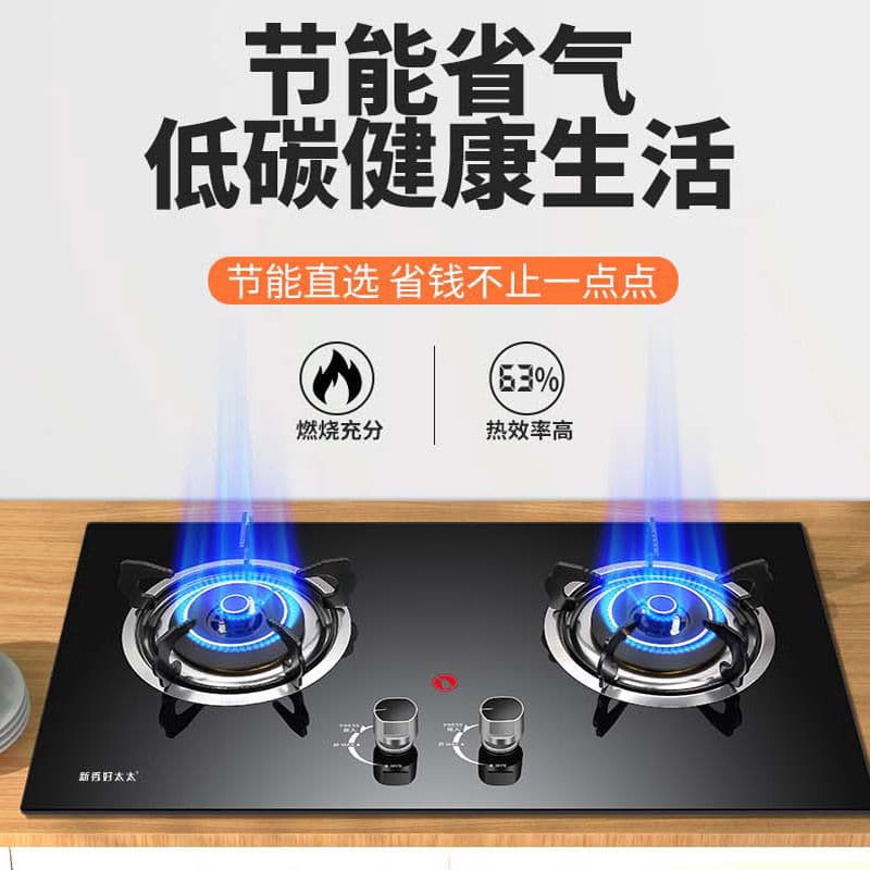 Haotaitai Gas Stove Double Burner Tabletop Energy-Saving Natural Gas Stove Liquefied Gas Stove Gas Stove Appliance