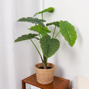 Artificial Green Plant Fake Plant, Dripping Guanyin, Artificial Green Plant Potted, Large Indoor Decoration Ornament, Fake Tree, Artificial Tree