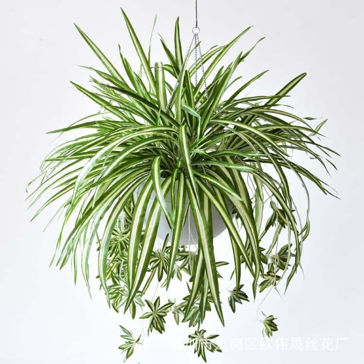 Wholesale Simulation 5-Fork Phnom Penh Cloth Hanging Orchid Plant Wall Material Bundle Simulation Fake Flower Decoration Ornaments