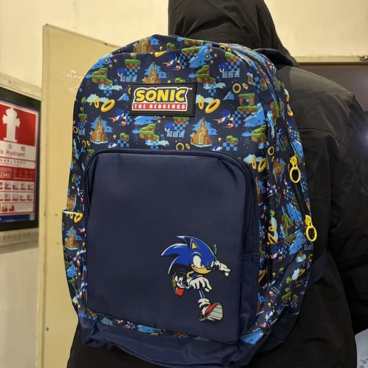 Sonic Sonic Kid Printed Backpack, Large-Capacity Student School Bag, Trendy Cartoon Style Casual Backpack