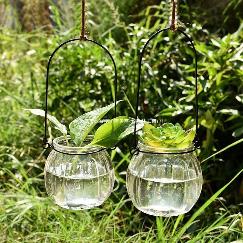 3 Copper Coin Grass Glass Vases, Leaf and Root Viewing Plant Hanging Bottles, Hydroponic Container Aquatic Plant Holder