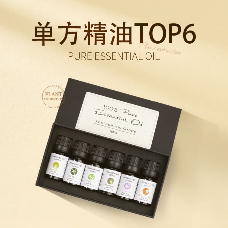 Top 6 Selected Single Essential Oil Aromatherapy Humidifier Sets, Plant-Based Car Aromatherapy Gift Boxes for Wholesale